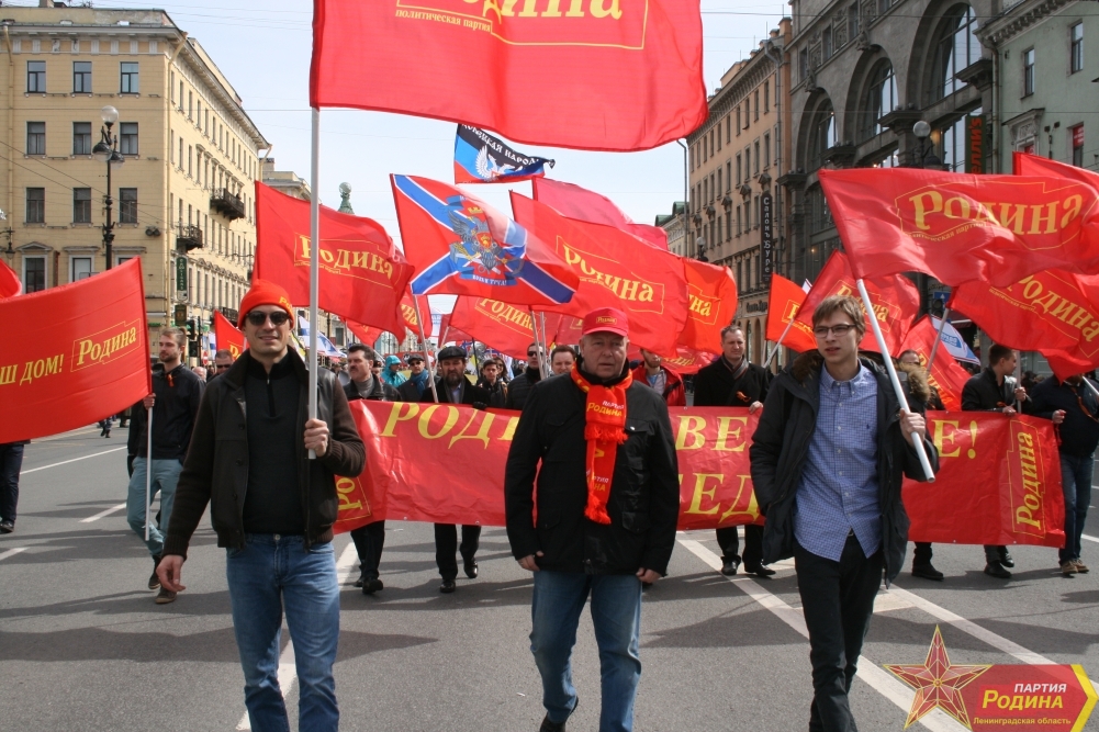 Политическая партия родина презентация